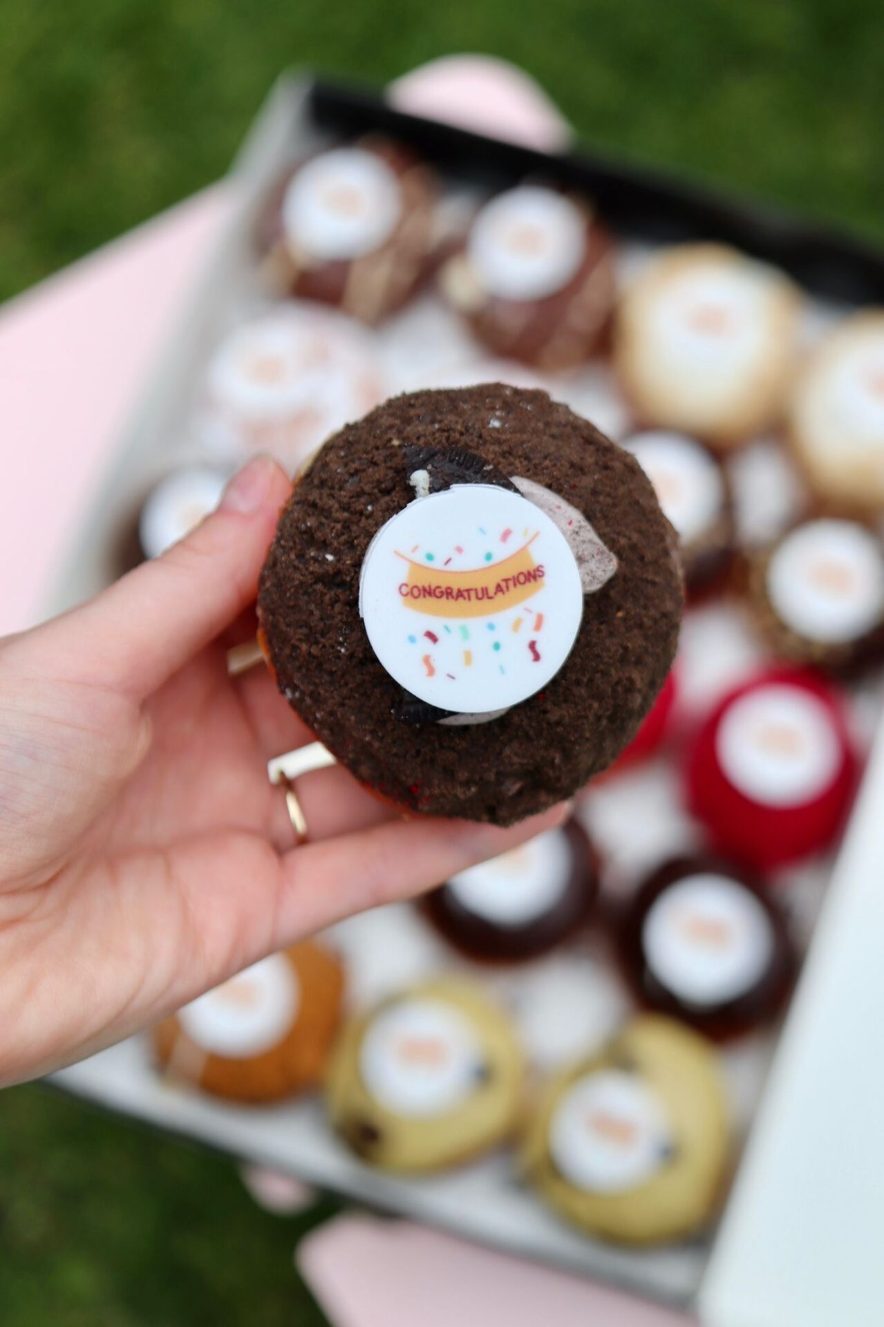 Special Occasion Midi Sourdough